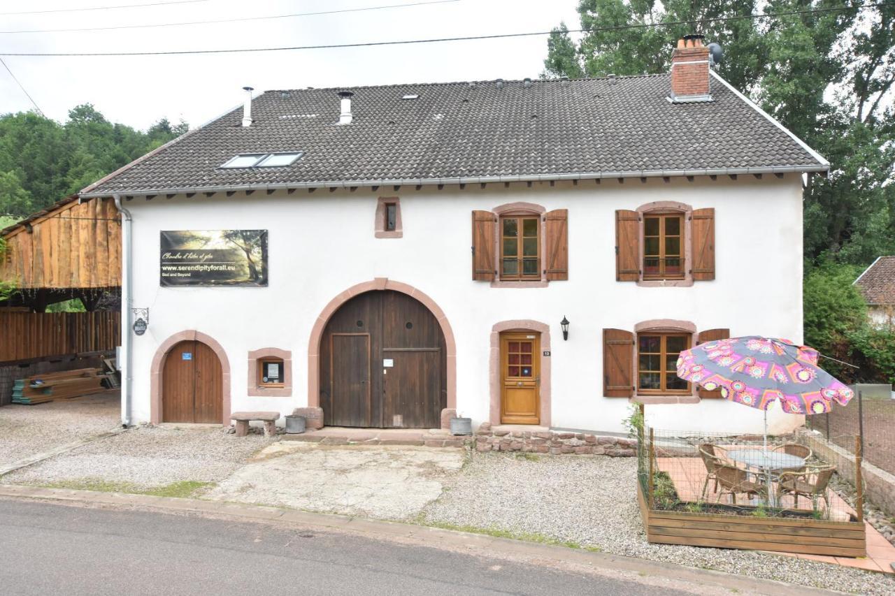 Serendipity Bed&Breakfast Saint-Die-des-Vosges Exterior foto