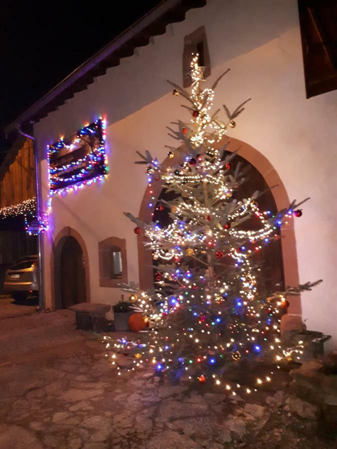 Serendipity Bed&Breakfast Saint-Die-des-Vosges Exterior foto